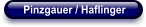 Pinzgauer / Haflinger